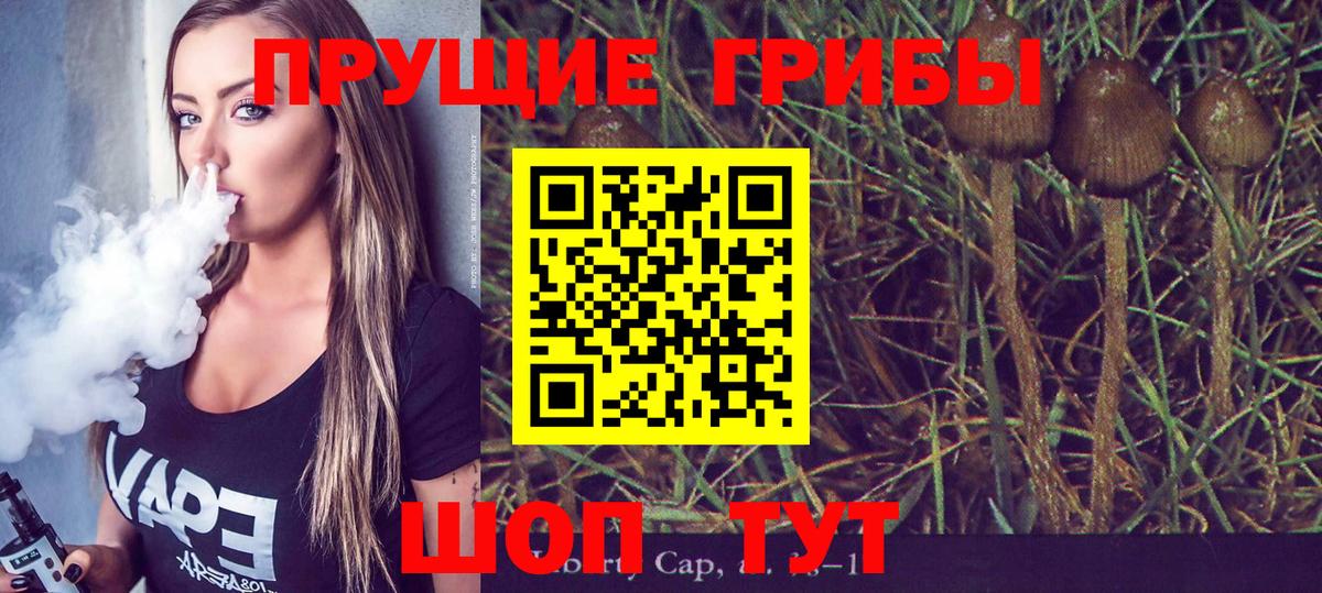Усолье-Сибирское  Псилоцибиновые грибы MAGIC MUSHROOMS  Галлюциногенные грибы прущие грибы  Вход с VPN 
